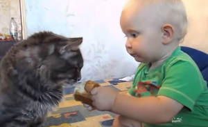 パンを分け合う猫と赤ちゃん