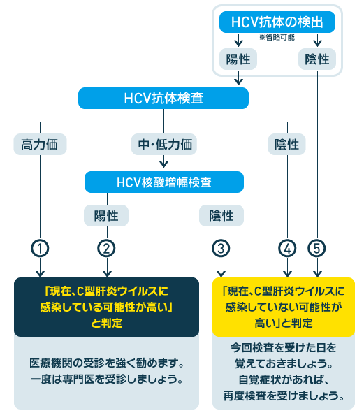C型肝炎の検査方法
