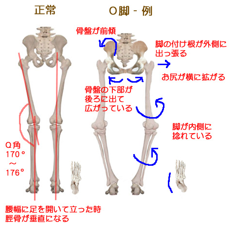 O脚を寝ながらストレッチで治す方法！？ | 働く女性の味方.com